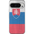 Slovakia Flag Distressed Google Pixel 9 Pro Skin